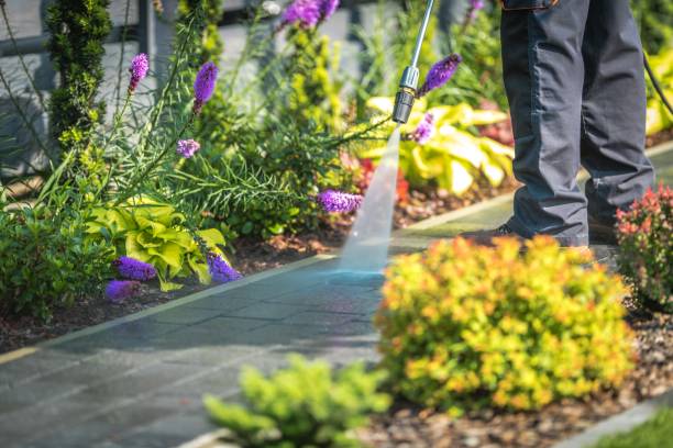 Spring Cleaning in Oradell, NJ